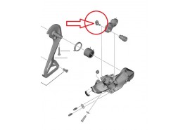 Shimano Passe-Câble RD-R9250 Dura Ace